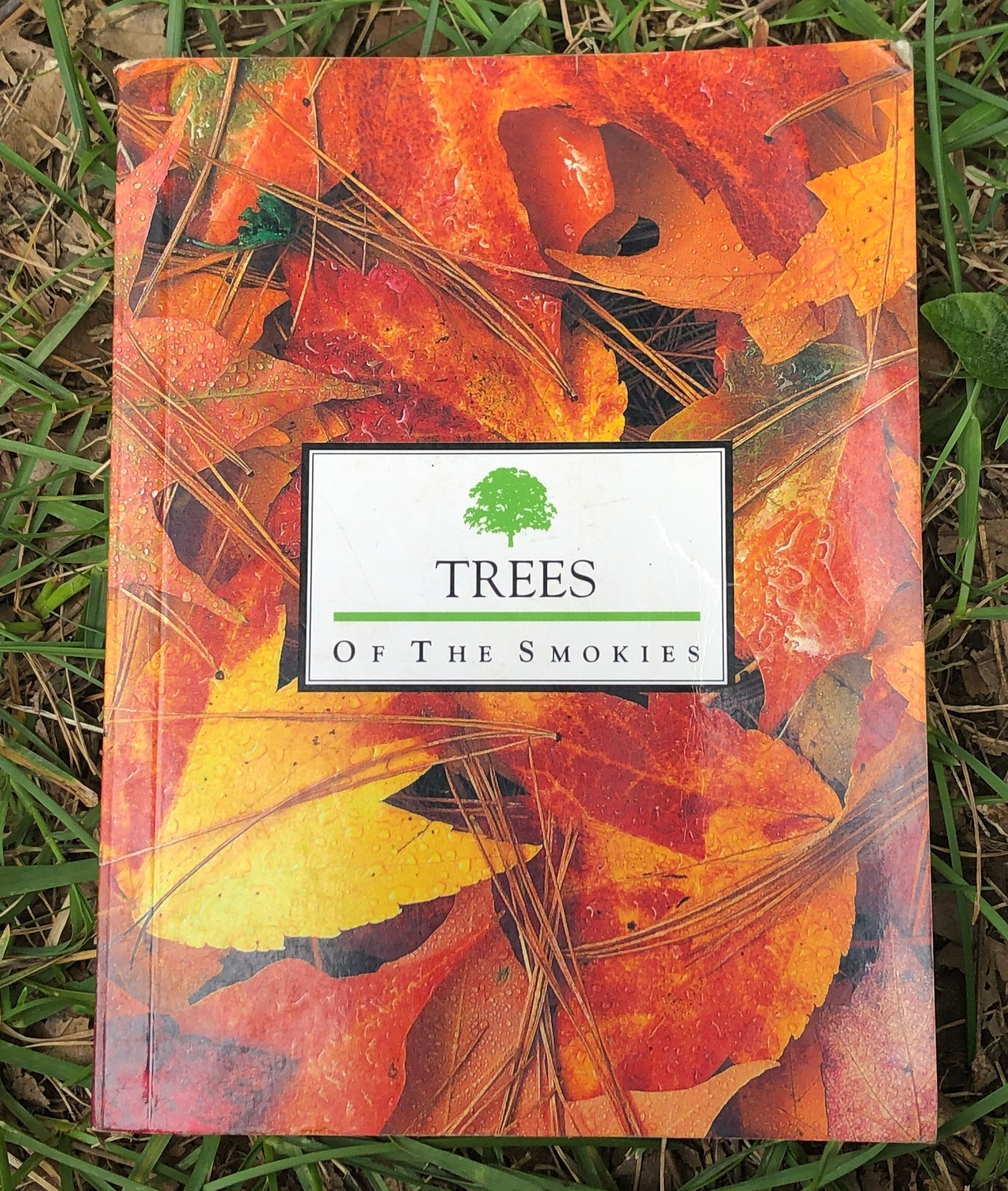 Trees of the Smokies