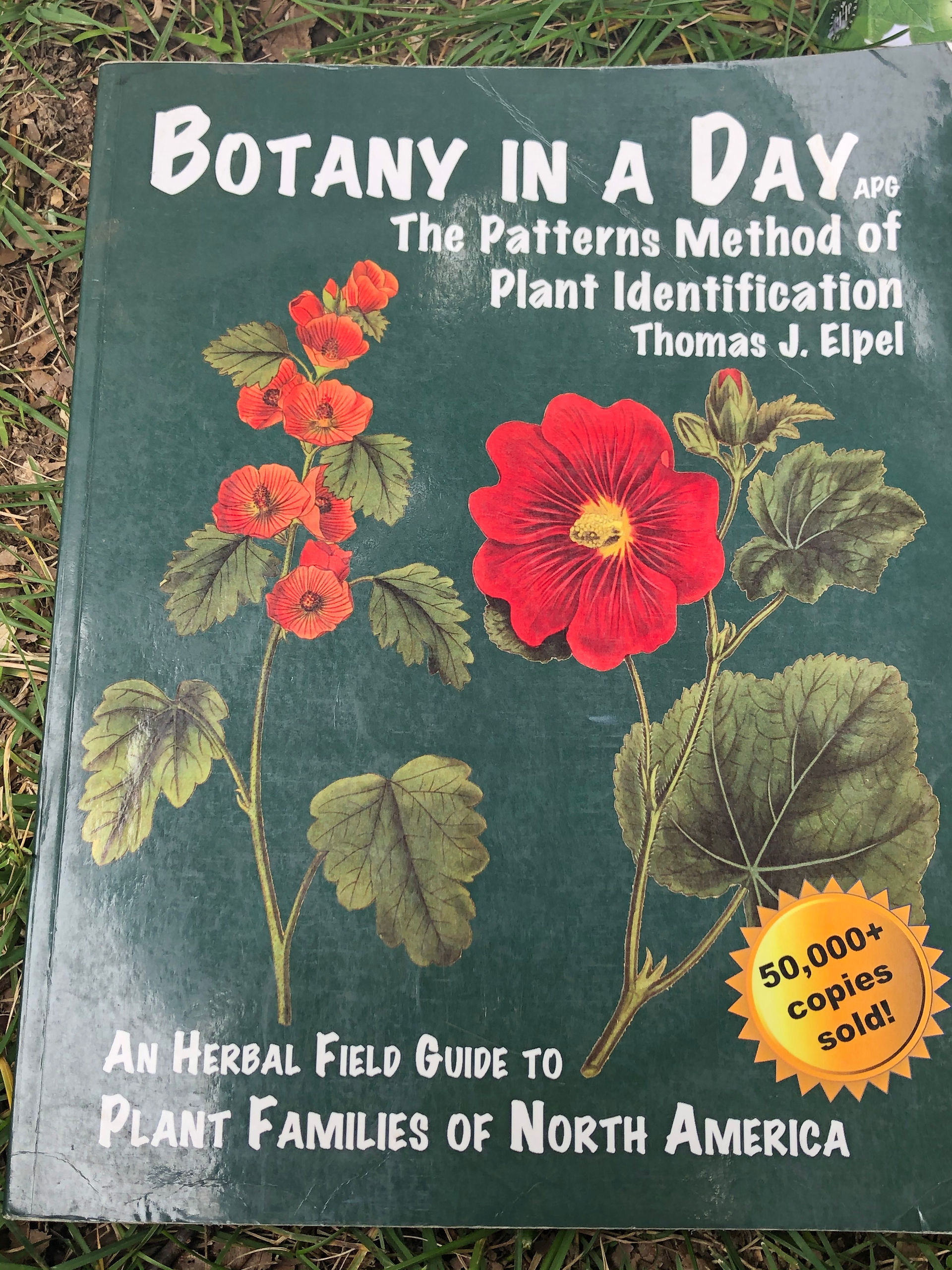 Botany in a Day