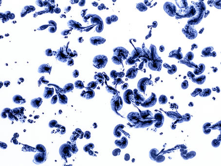 Quels examens pour le bilan de fertilité masculine?