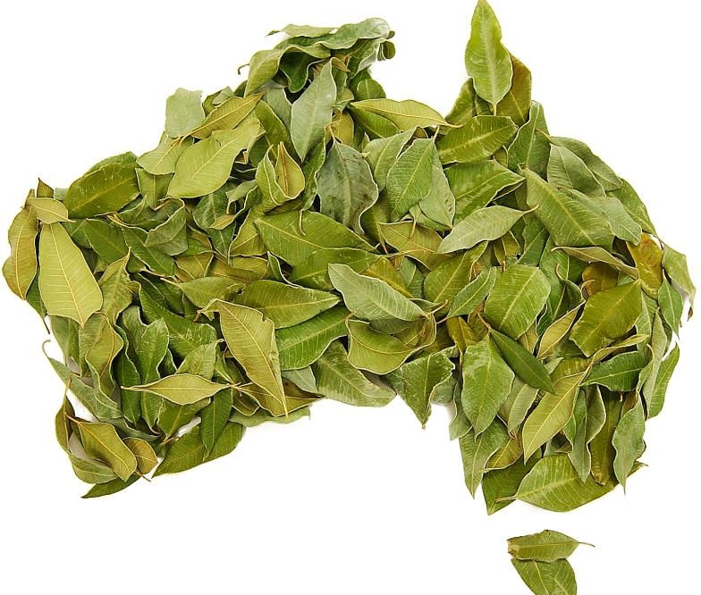 ree