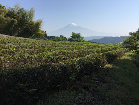 木花茶寮