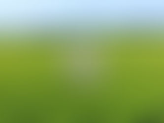 【おのうえ茶園】9月4日㈮・5日㈯