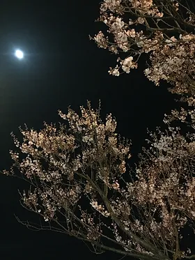 上越ギャラリー 仲六 青苧のいえ