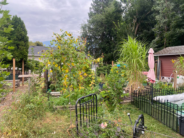 black short ornamental iron fencing surrounding a garden in kelowna and installed by blue rhino fence