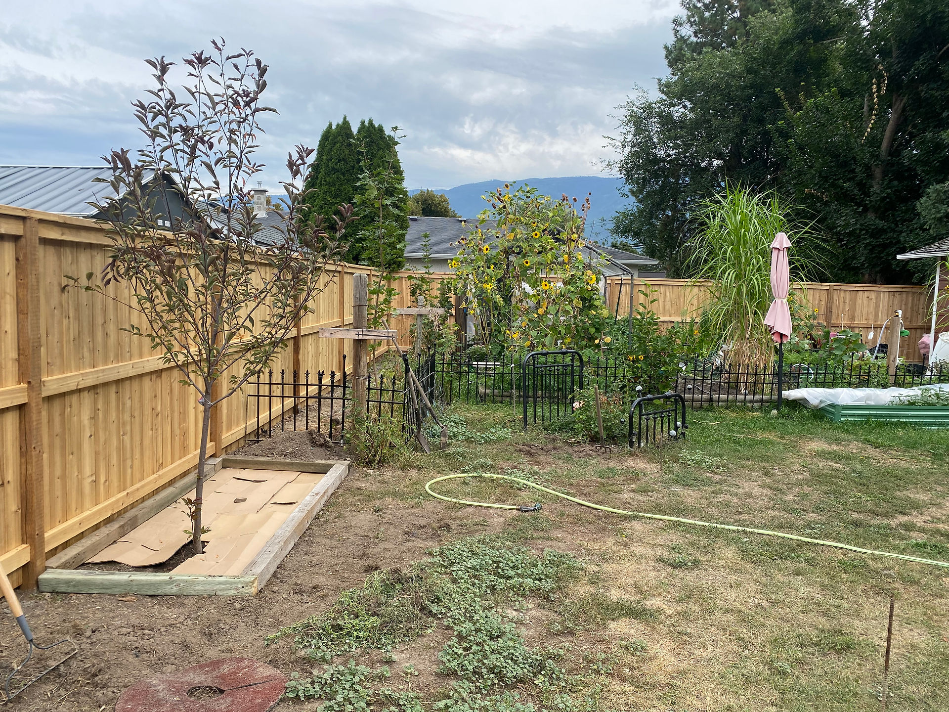 a custom built 6 foot cedar fence surrounding a large garden with wrought iron fencing