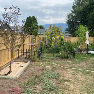 a custom built 6 foot cedar fence surrounding a large garden with wrought iron fencing