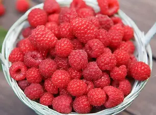 iStock-584749756-1024x683.jpg.webp