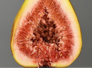 Fig_(Ficus_carica)_fruit_halved.jpg