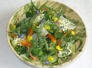 Gargouillou_de_légumes.JPG