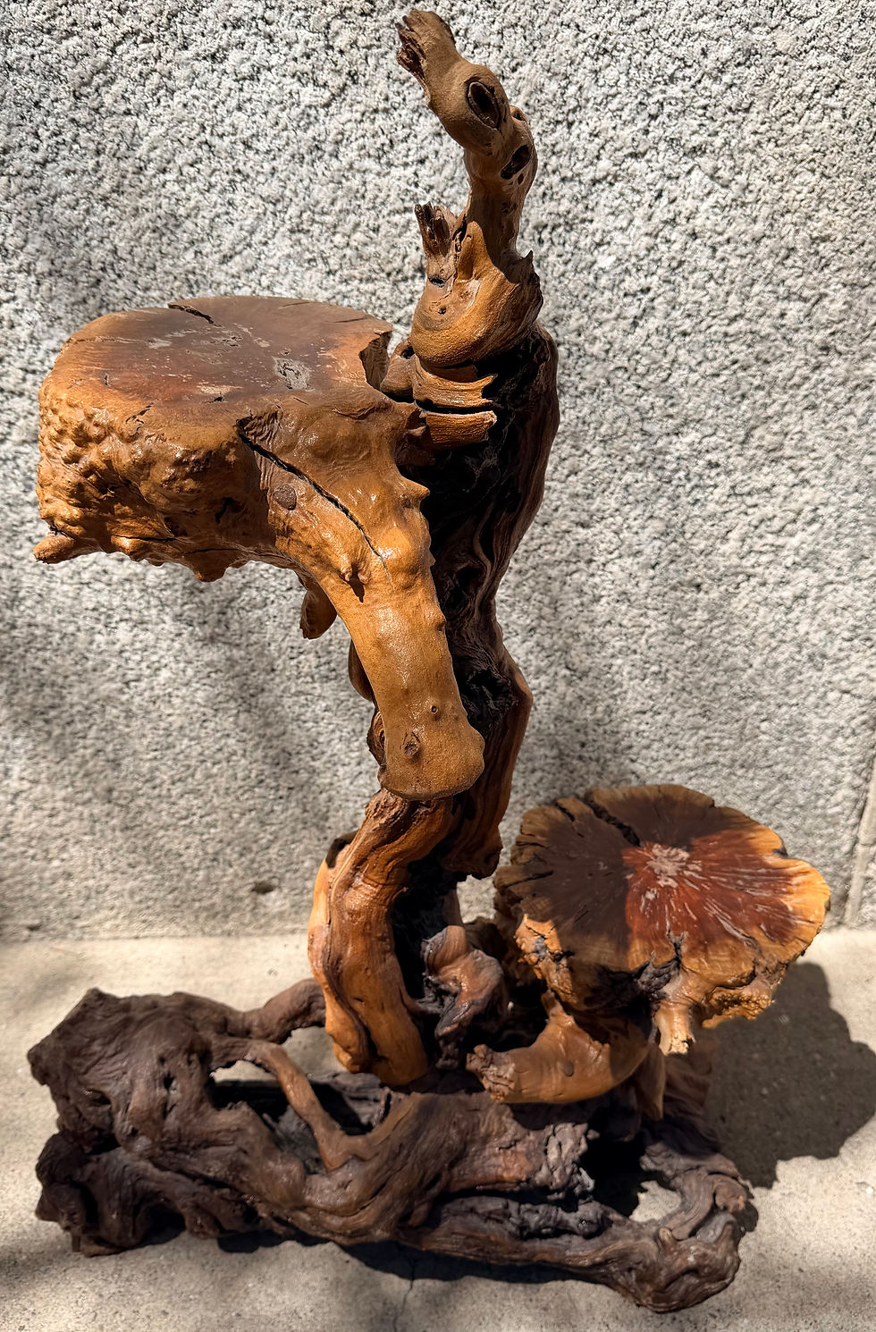 Thumbnail: Handcrafted Natural Driftwood Root Art Sculpture, 32”H x 20”Lx 9”W