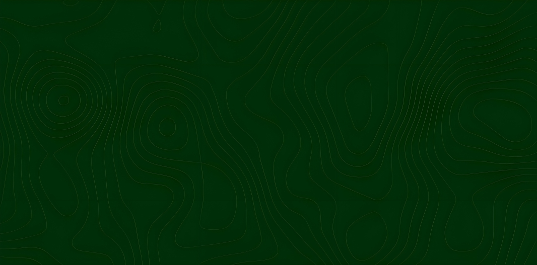 hero_bg_2_1.png