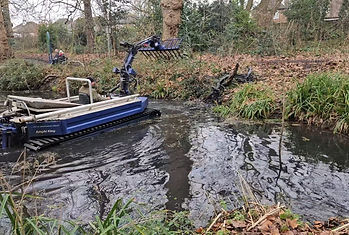 log removal 2.jpg
