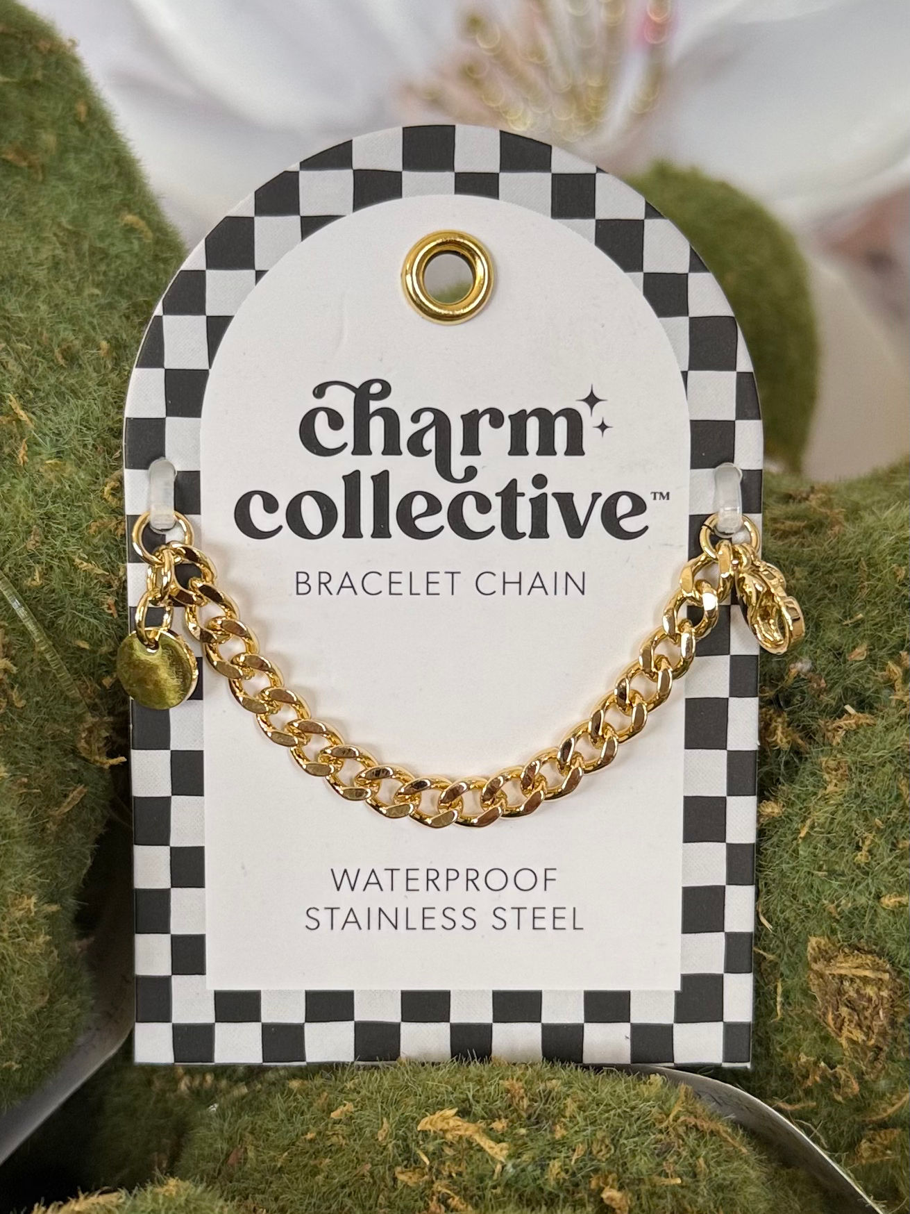 waterproof stainless steel bracelet charm curb chain, use with the charm collective collection to build a bracelet