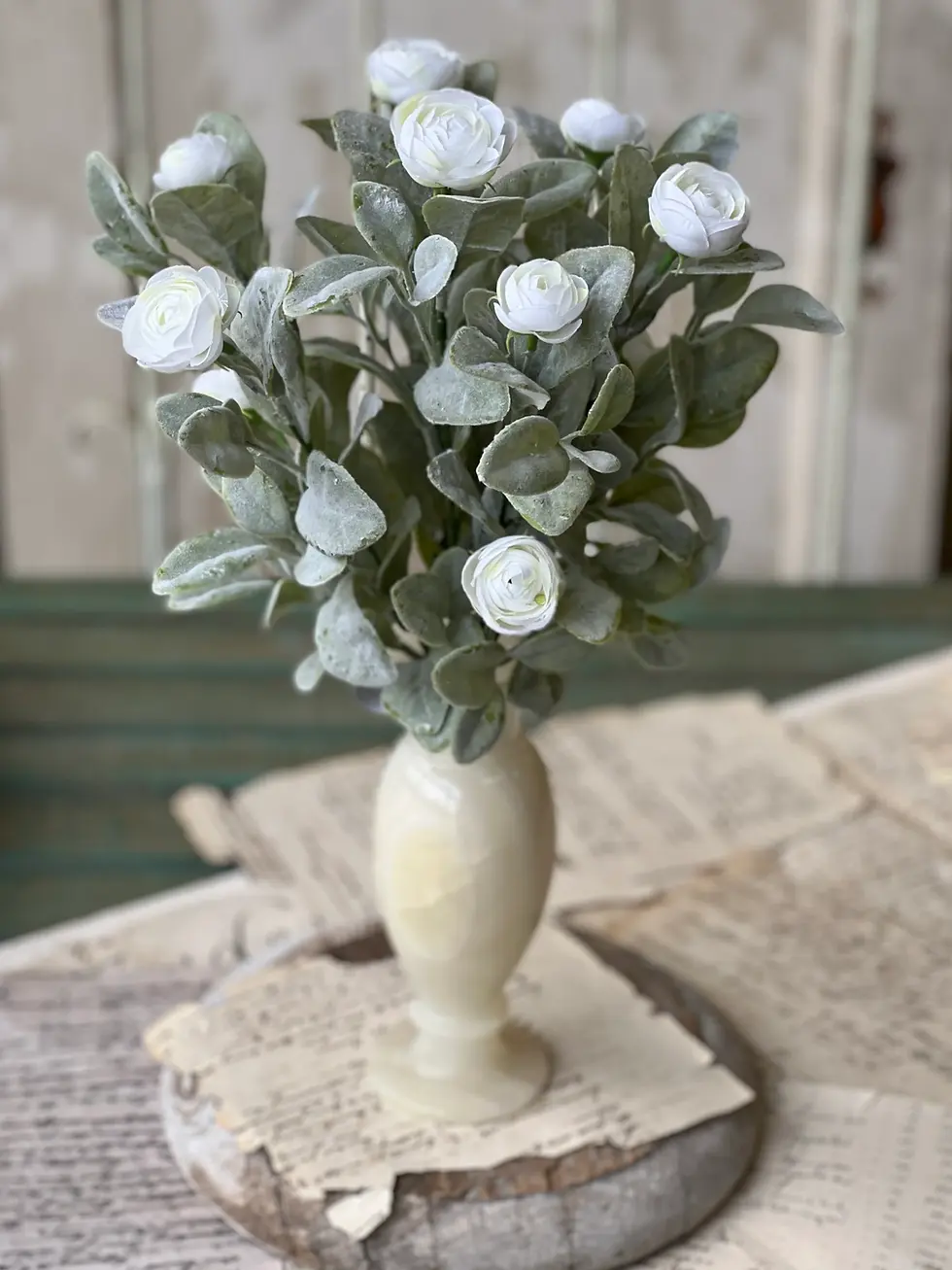 15” tall bush full of dense soft green flocked leaves and lots of small cream camellia florets
