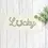 Thumbnail: natural canvas panel with Lucky in green script with the U being a horseshoe, use w/ interchangeable pillow (sold seperately)