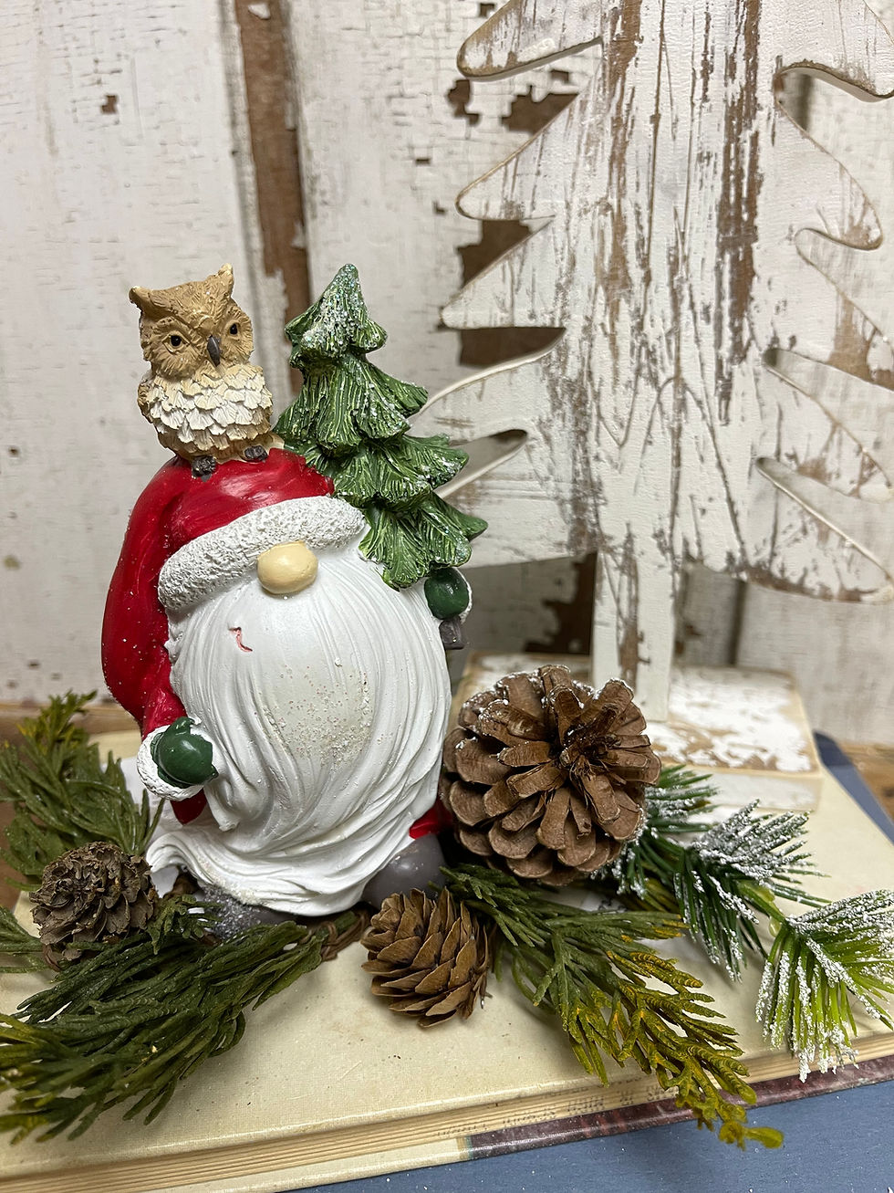 Santa with long beard and red hat with an owl perched on top. Front view