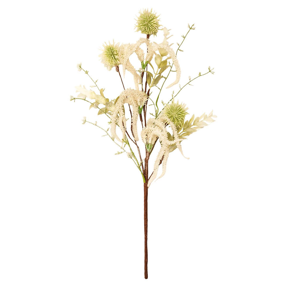 19" tall bush of green pom poms, hanging creamy yellow spires, soft green foliage & white tiny bubble berries