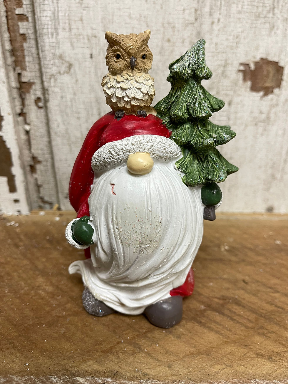 Santa with long beard and red hat with an owl perched on top. Front view