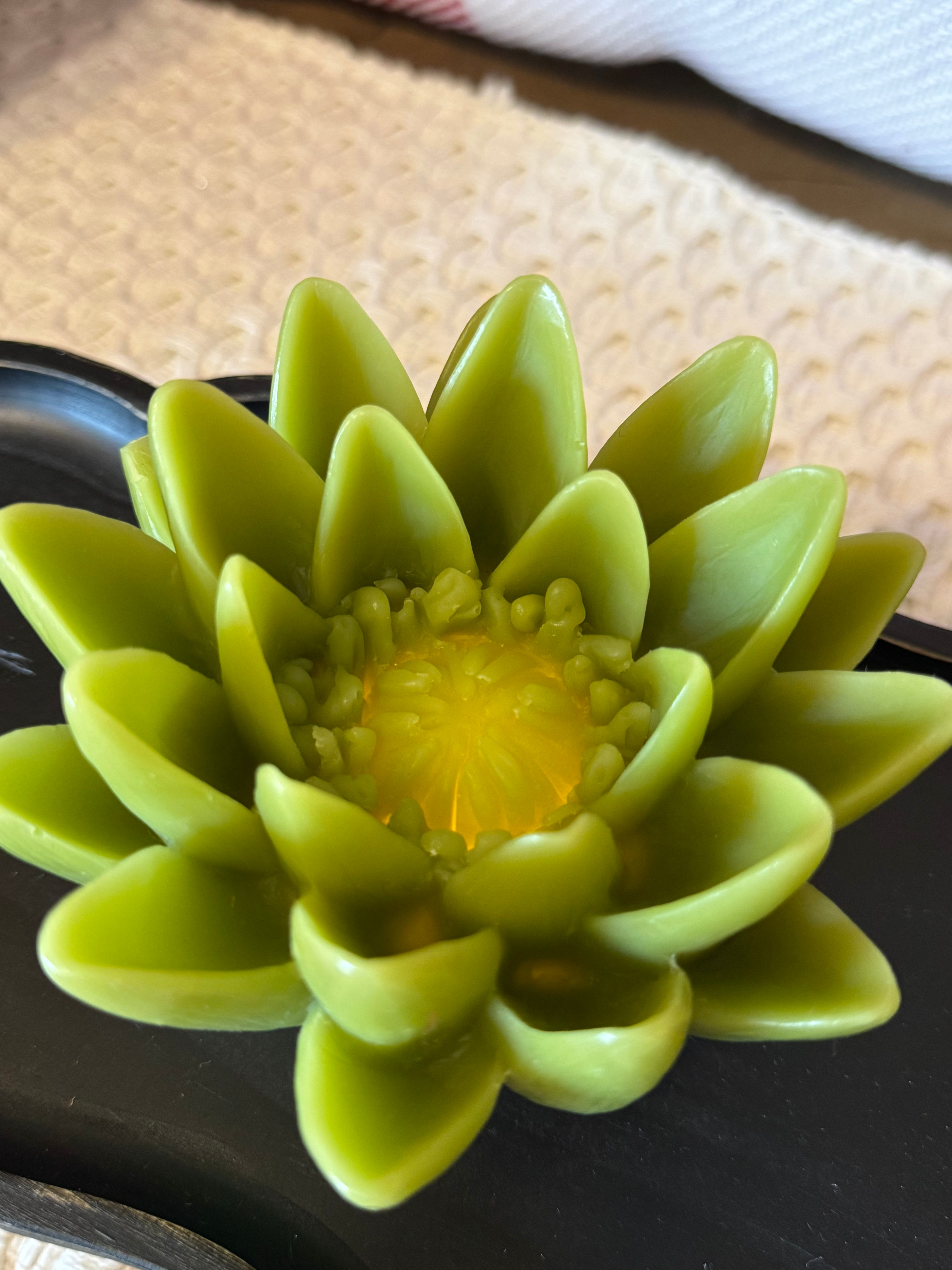 5" green wax flower, soft interior LED light, 6 hour timer, on/off switch, requires 1 (CR2032), battery is included