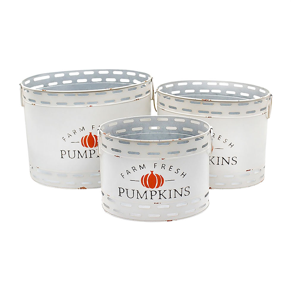 9” high by 11” wide by 7.5” deep White metal oval bucket with raised letters “ Farm Fresh Pumpkins” in black