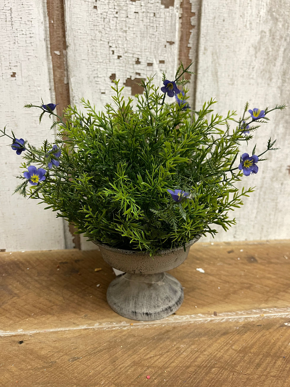 Thumbnail: 6” diameter half sphere with lacey green foliage and tiny purple flowers