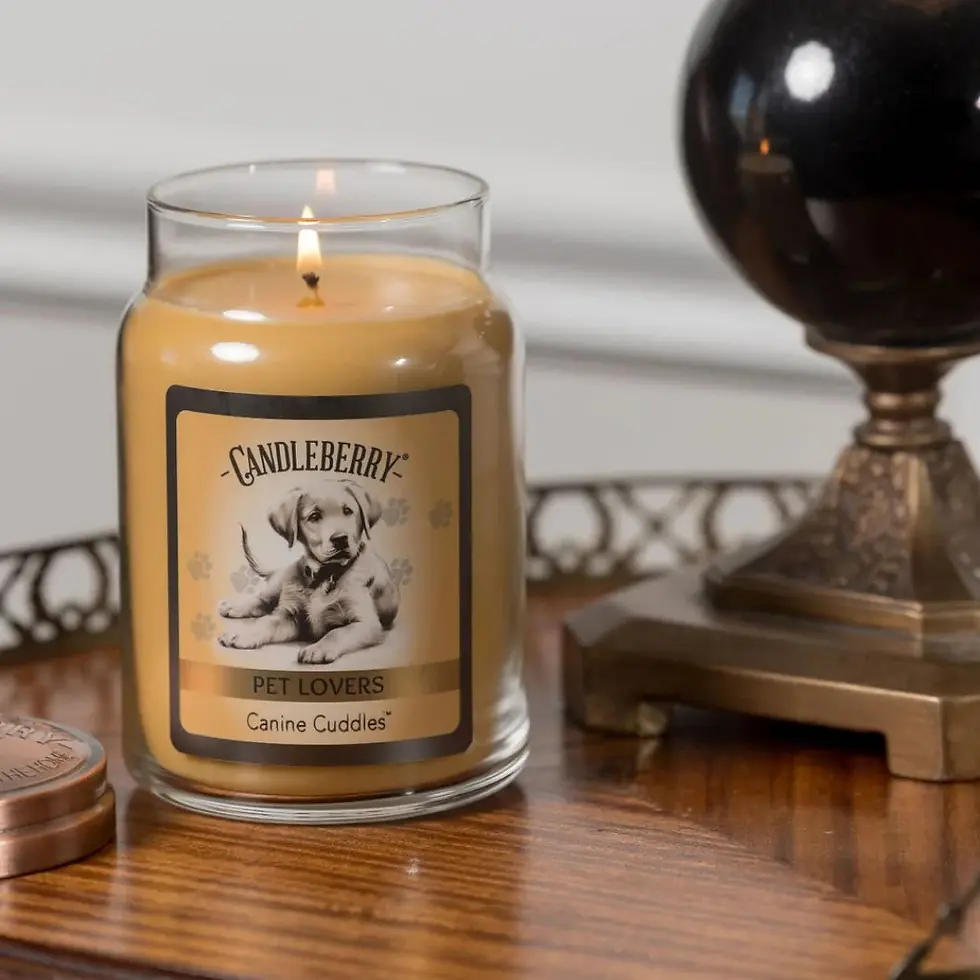 Thumbnail: Candleberry 21oz soy blend jar candle, Canine Cuddles, clean burning for 135-155 hours, scent Lemon Zest, Orange Peel, Sugar
