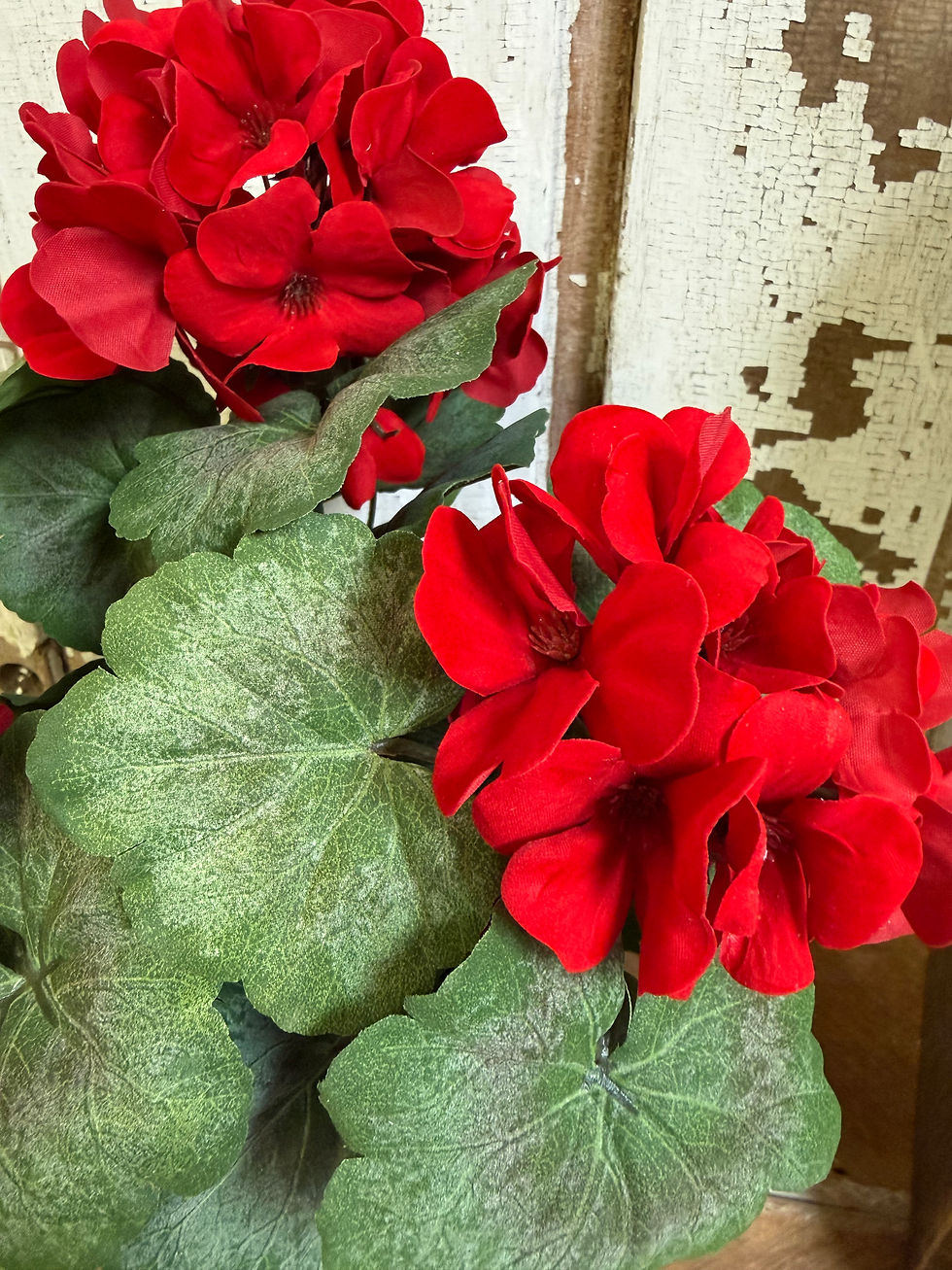 14" tall arrangement of red geraniums in a terracotta pot, 3 large real look blooms, real look foliage, weathered terracotta
