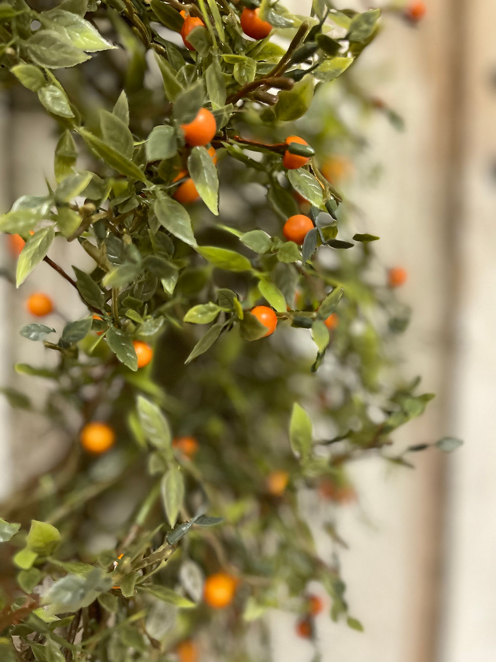 Small orange berries are dotted along branching stems of leaves. 20" outside diameter x 12" inner diameter