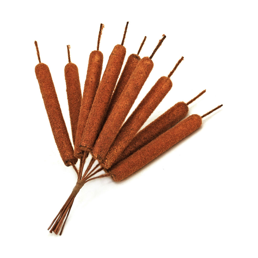 10" tall bundle of 9 brown cattails, perfect for fall floral displays