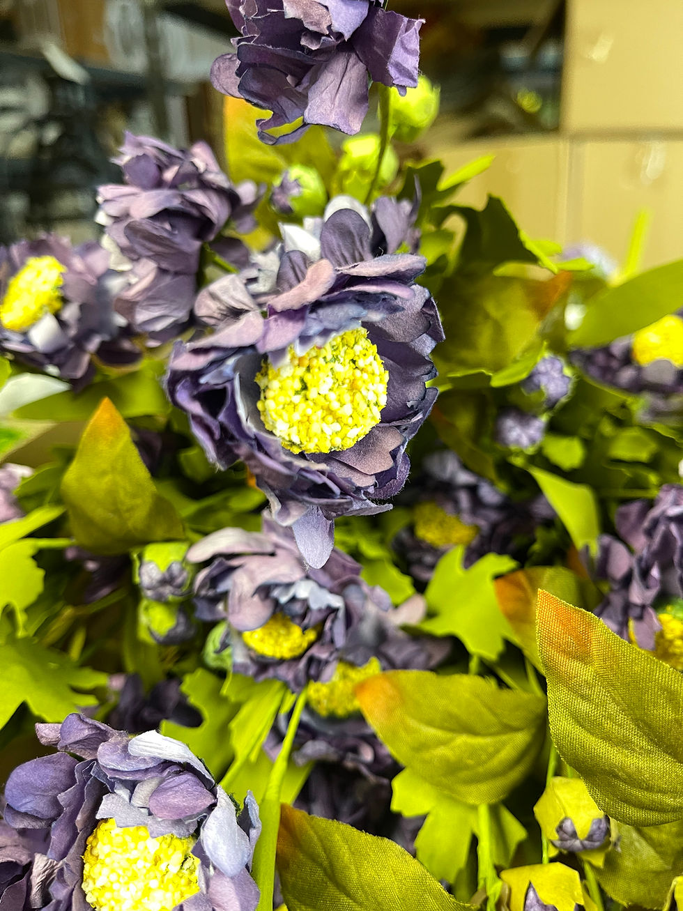 19” tall bush of purple mums with yellow centers and green foliage