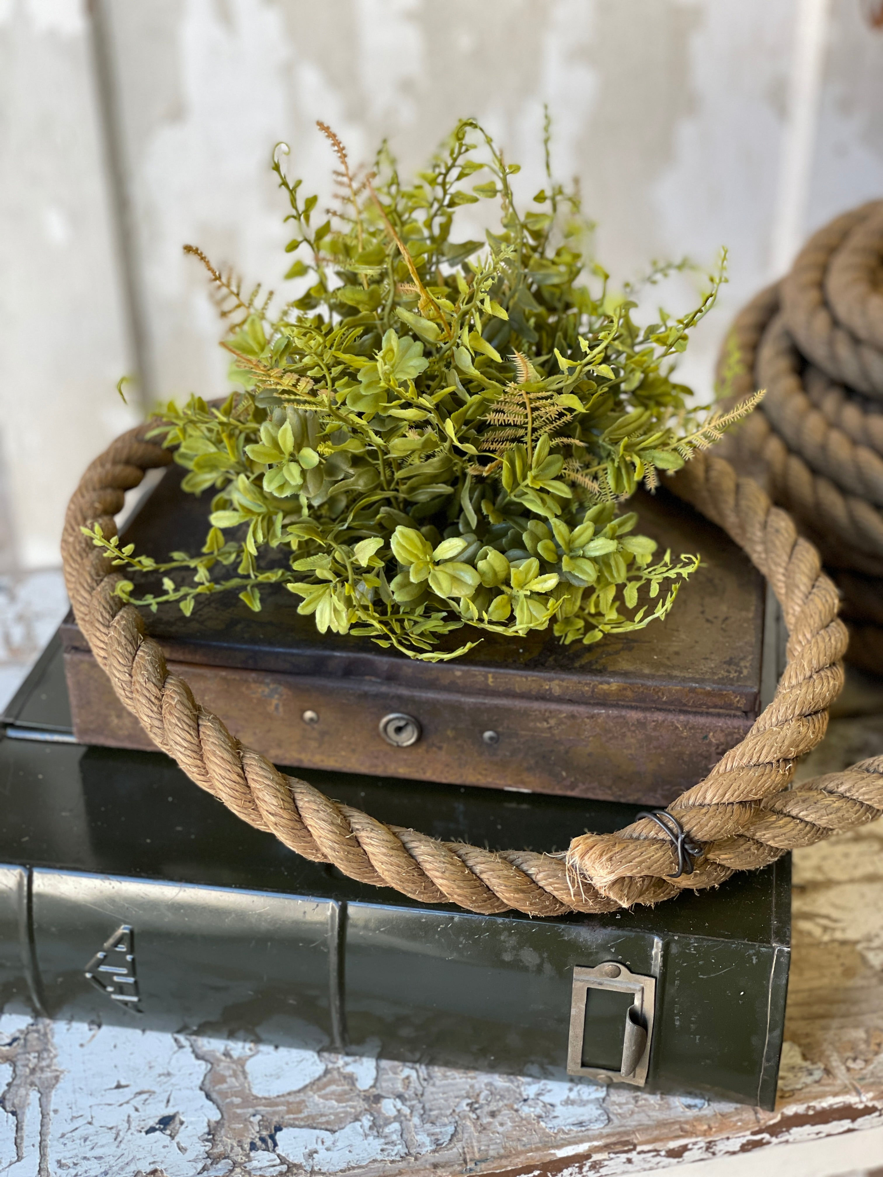 Mixed ferns, greenery, fiddleheads half sphere 10” diameter