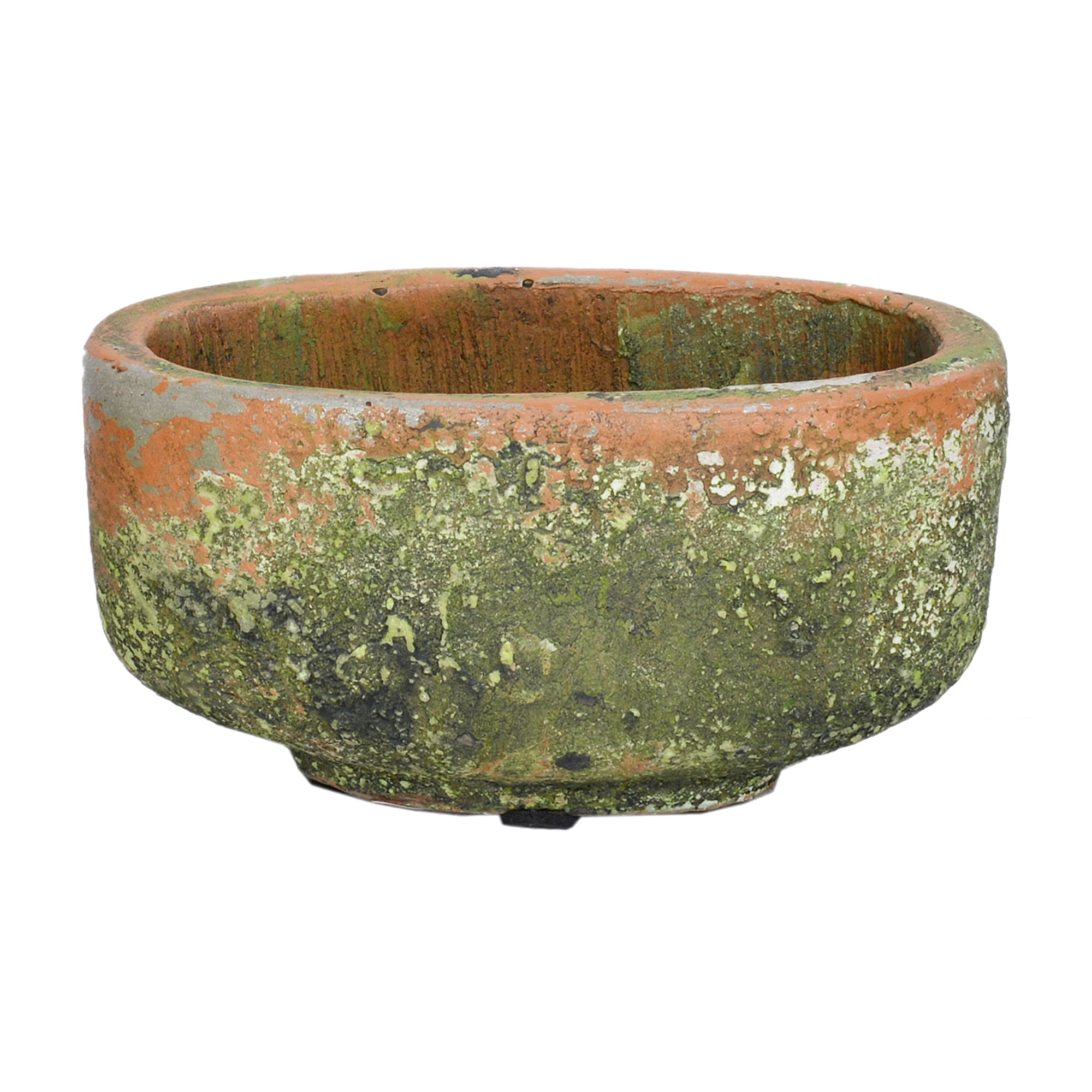4.7" x 2.75" oval terracotta planter with a faux textured moss finish