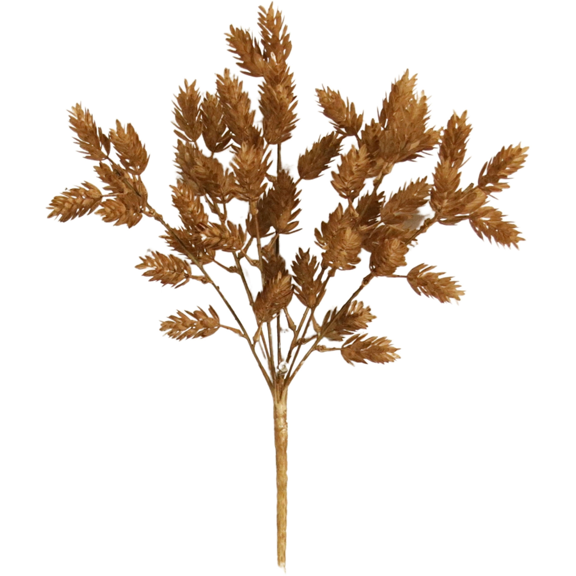 16" tall bush of brown hue hops, plastic