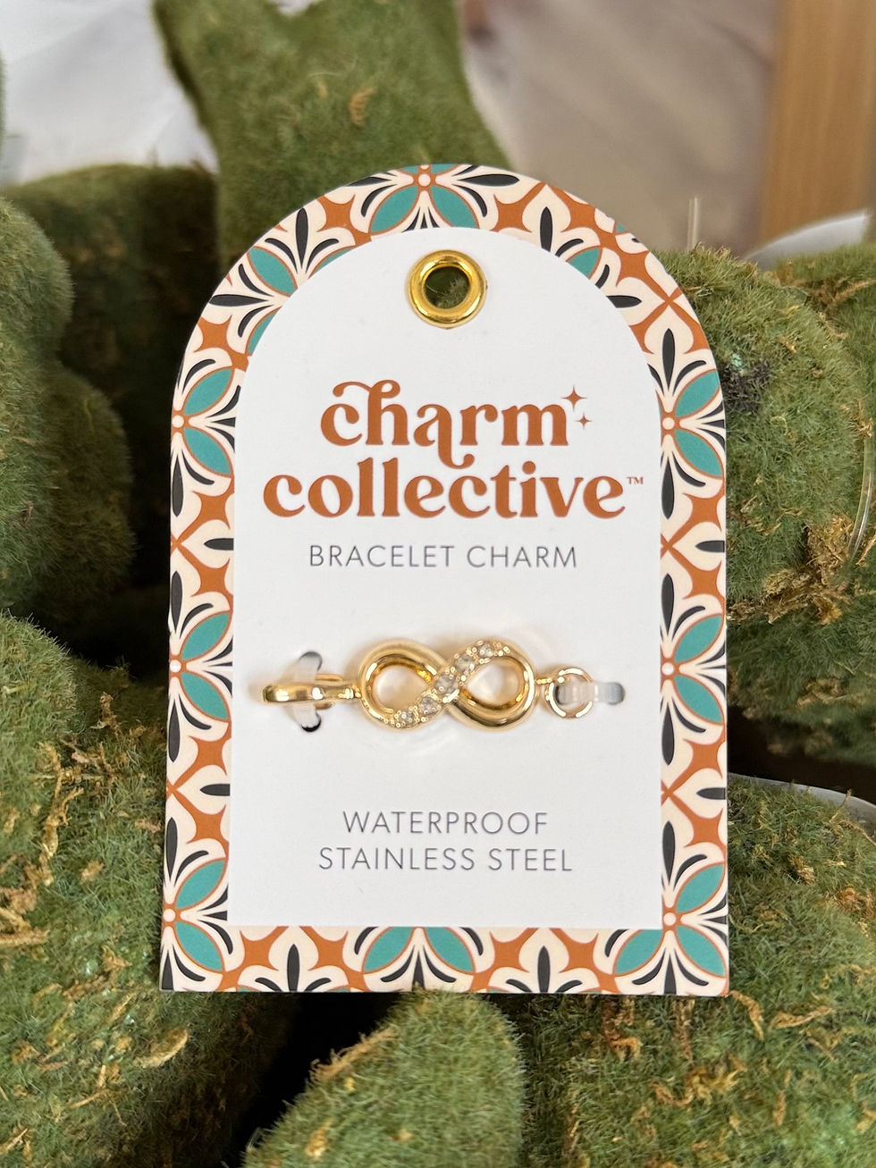 waterproof stainless steel bracelet charm infinity, use with the charm collective collection to build a bracelet
