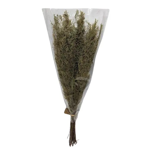 27.5" tall bouquet, 12oz of dried natural Artemisia wrapped in plastic