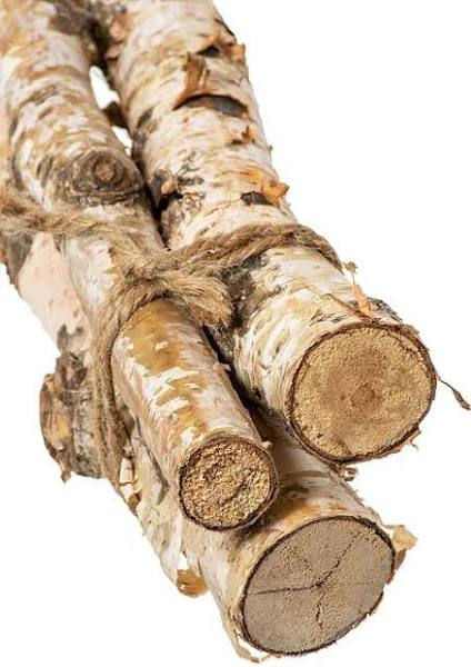 Set of 3 real birch logs 24” long tied together with jute