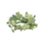 2" mini candle ring, wire base, green & white pip berries, green wood shamrocks