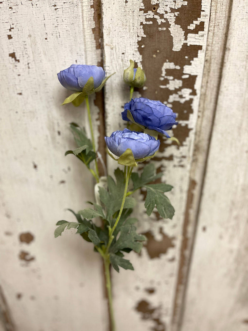 Thumbnail: 27” long stem with 3 periwinkle ranunculus flowers and one bud