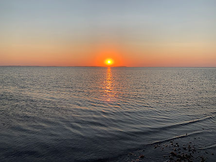IMG_5379.jpeg