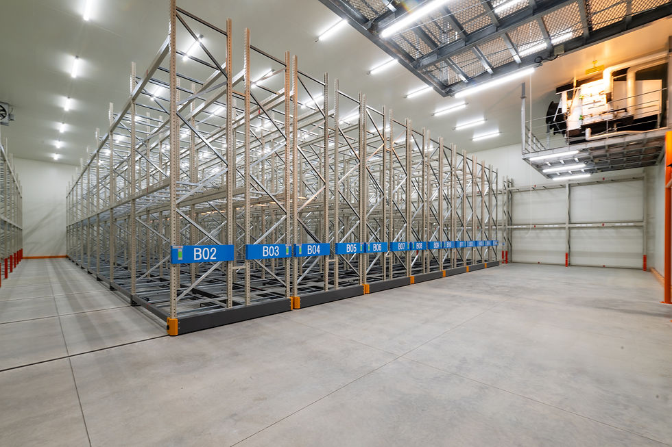 冷凍倉庫 新築工事 内観