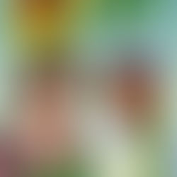 お花屋のしげちゃん みずえちゃん