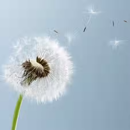 The Quiet Power of Being Witnessed