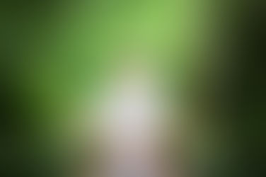 The universe supports the reality of your beliefs absolutely.