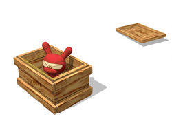 dunny en caja