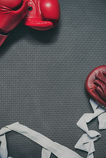 boxer-punching-self-defence-strong-athlete-beat-concept copy.jpg