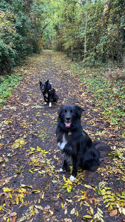 1B3794D8-78AC-4B3D-9AA2-72679A1C8F21