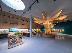 63ff3730612cba934ad4abb7_P1006916_72ppi_