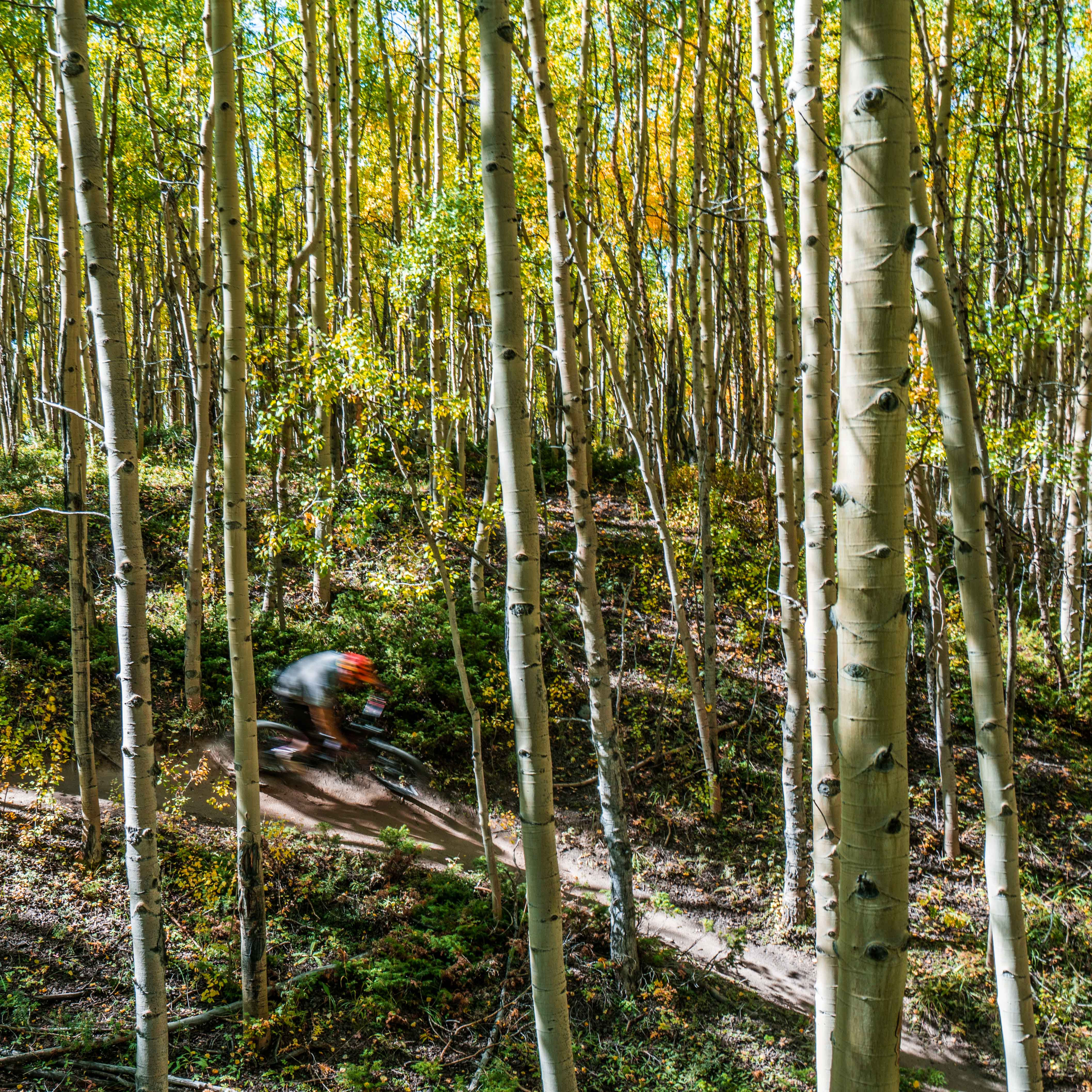 Aspens Bike Blur Metal Print