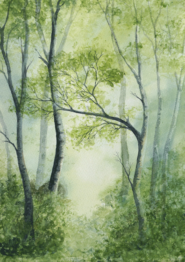 Rosemount Spring
