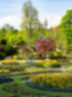 spring flowers and lush trees surround the paths of the Dingle, Shrewsbury.